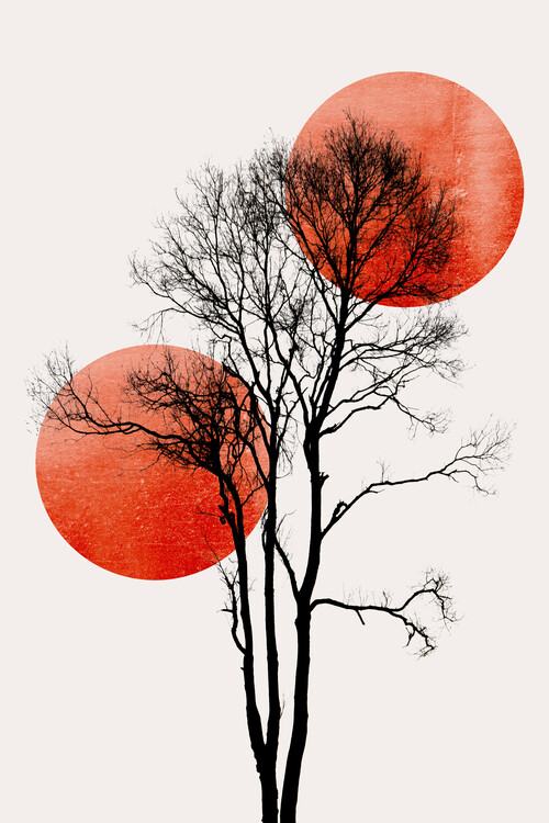 Kuva Sun and Moon hiding