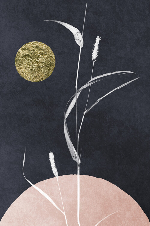 Ilustrare Glooming In The Dark