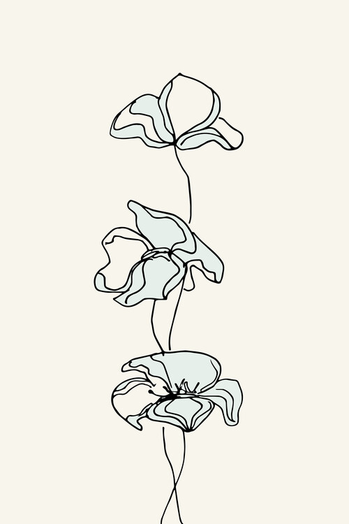 Illusztráció whiteflowers