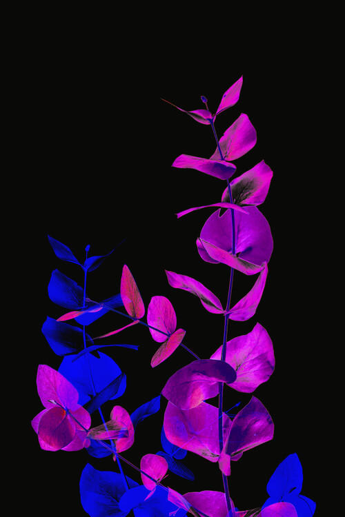 Canvas Print Acid flora 2