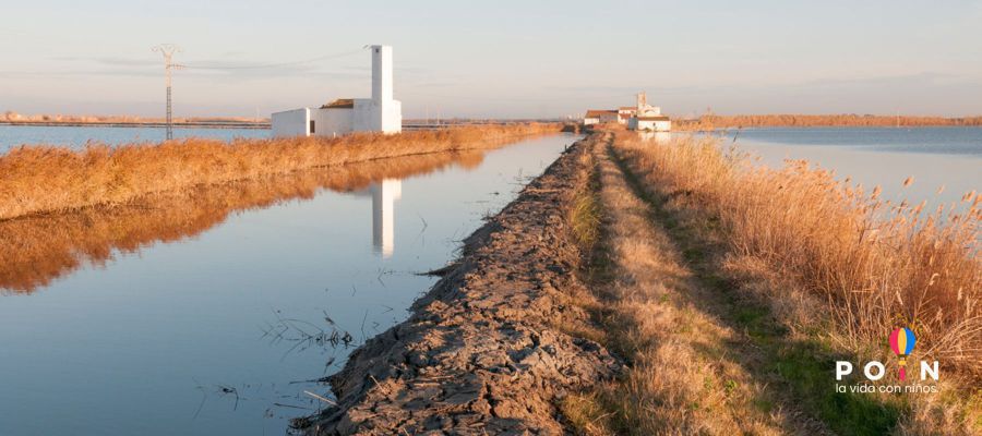 Excursión a La Albufera