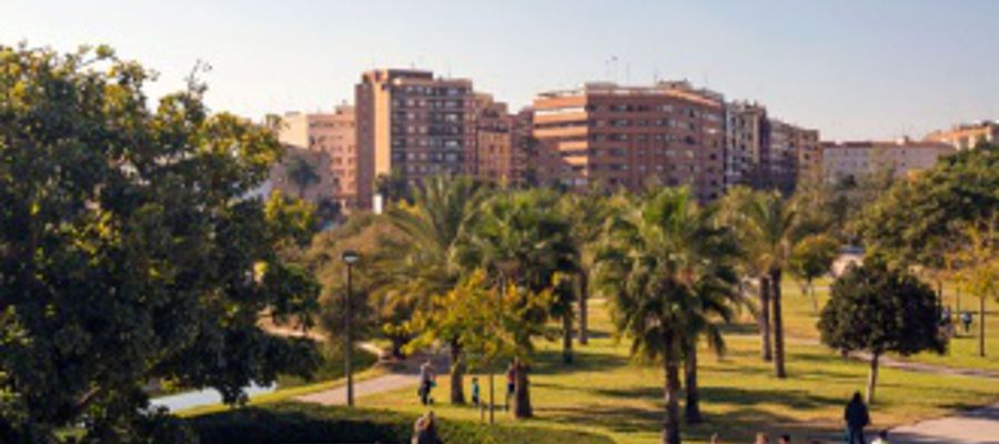 Tour Jardines del Turia Tour Jardines del Turia