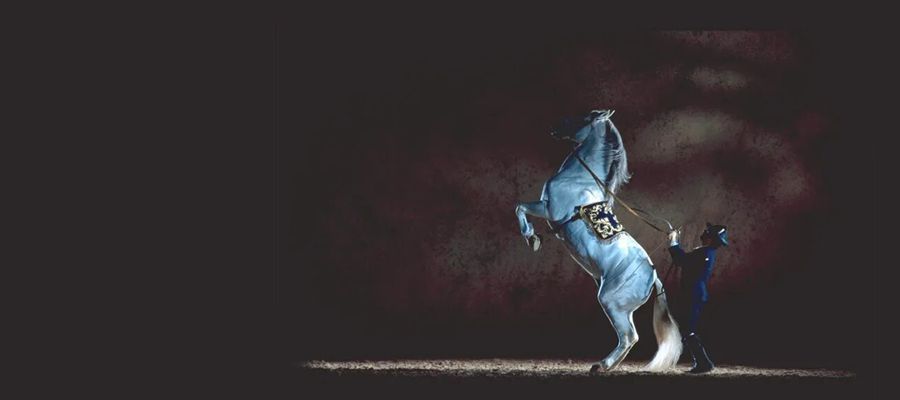 "Cómo Bailan los Caballos Andaluces" "Cómo Bailan los Caballos Andaluces"