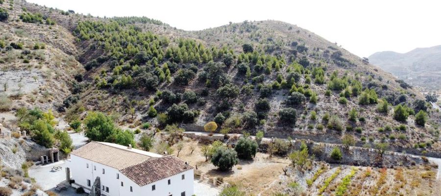 Casas Rurales Cortijo Leontino Casas Rurales Cortijo Leontino
