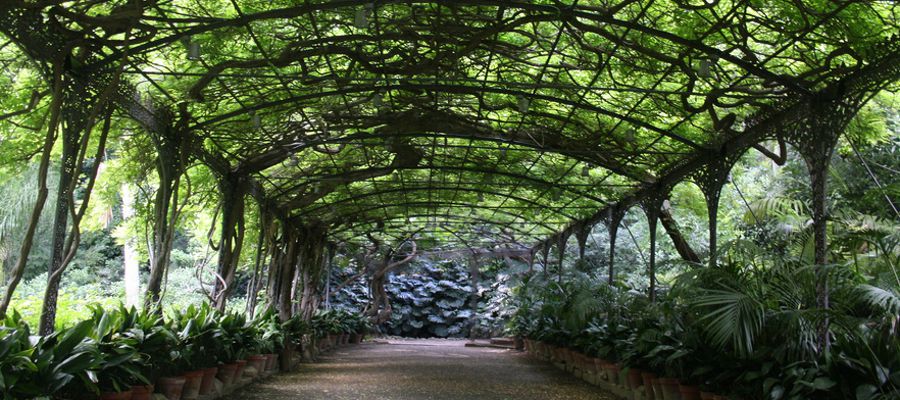 Jardín Botánico - Histórico La Concepción