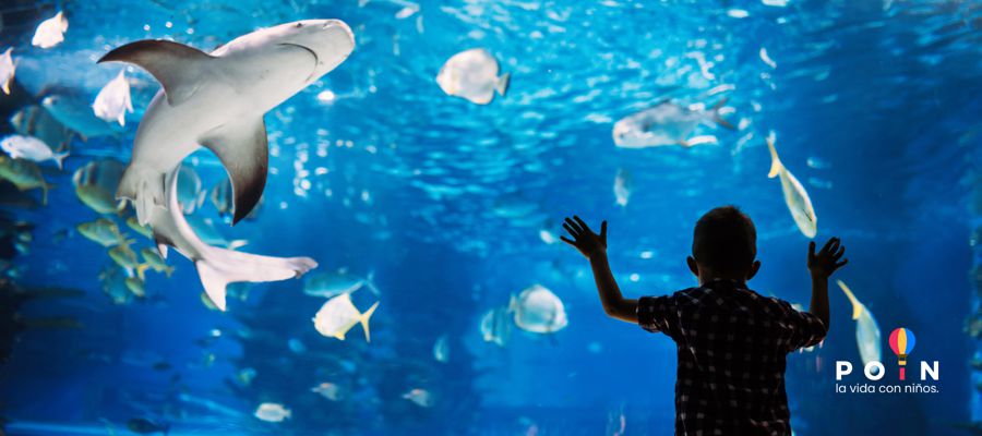 Aquarium Costa de Almería Aquarium Costa de Almería