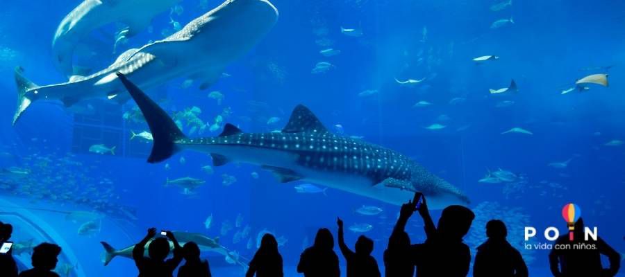 Acuario Lanzarote