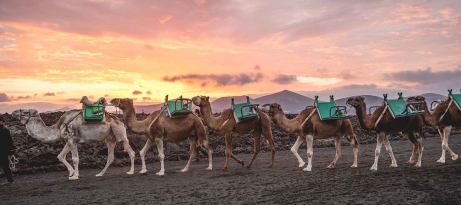 Parque Nacional de Timanfaya