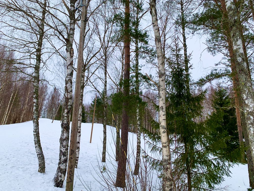 Ristinummen pulkkamäki Vaasa