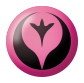 Fairy energy Fairy energy
