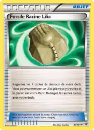 Fossile Racine Lilia