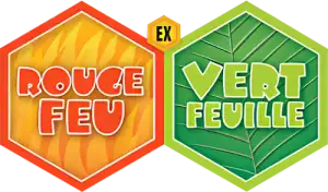 EX Rouge Feu & Vert Feuille