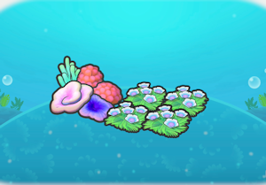 摇曳的花圃与珊瑚