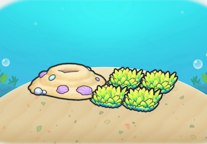 沙地海底草丛