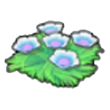海底花