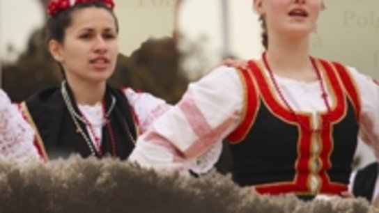Szlavónia és Drávaszög népművészete