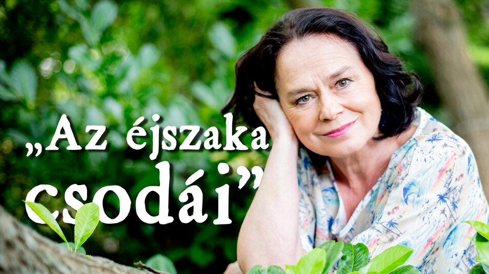 „Az éjszaka csodái”