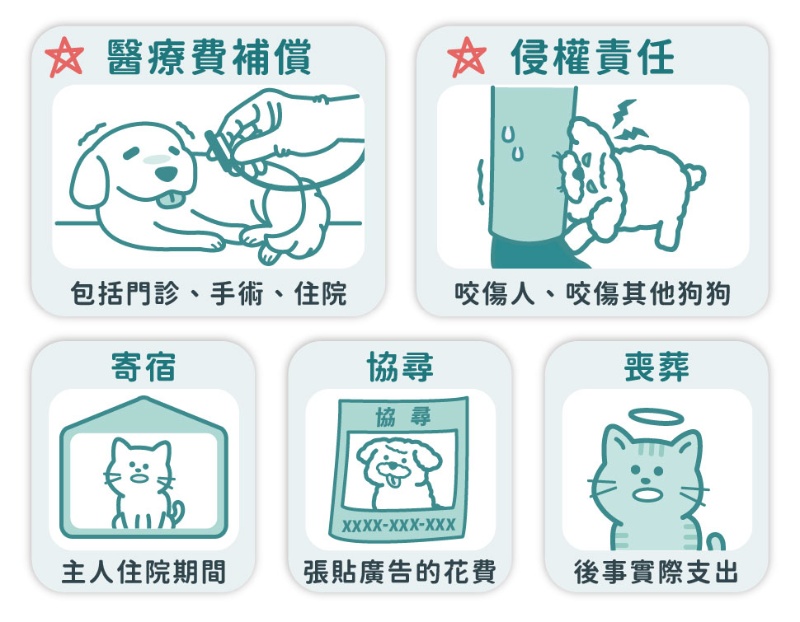 寵物險是什麼?五大保障項目一覽_保立答