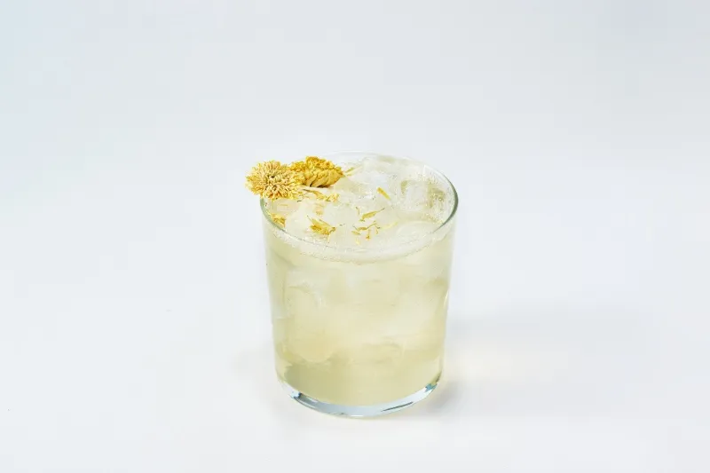 Shaken Lemonade