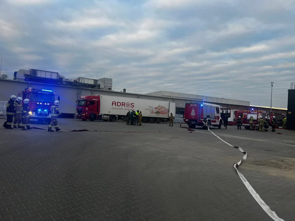 Wielki sprawdzian służb. Zobacz, jak wyglądały ćwiczenia ratunkowe w zakładach Adros