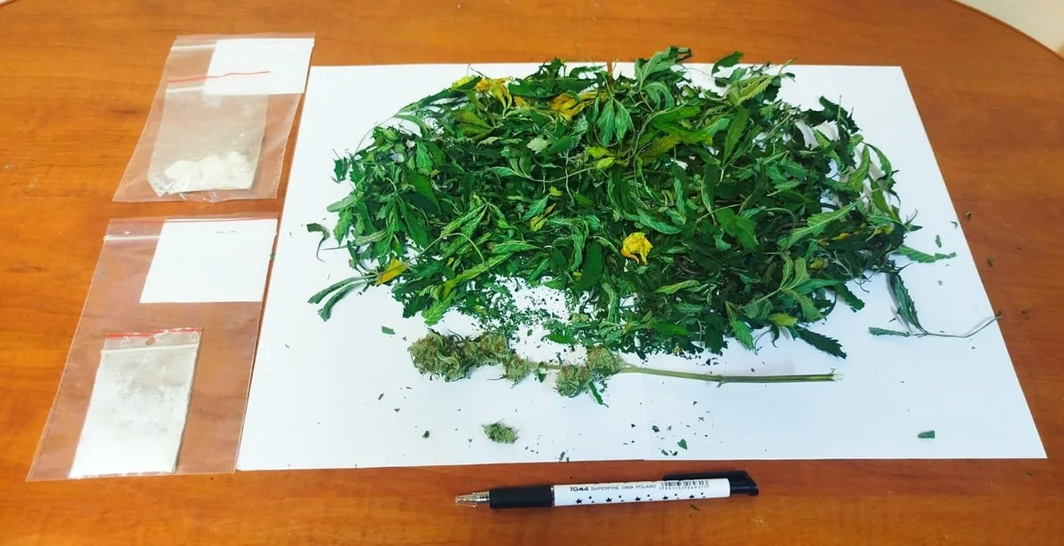 Zamiast ubrań w szafie miał... profesjonalną uprawę konopii. Wpadka nielegalnego „ogrodnika”