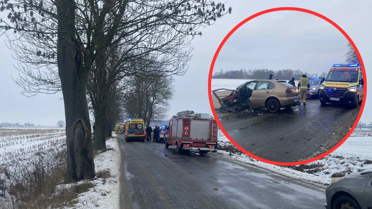 Starkówiec. Samochód uderzył w drzewo. Kierująca trafiła do szpitala [ZDJĘCIA]
