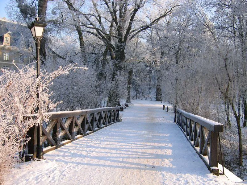 „Co w lesie huczy?”. To będzie fascynująca lekcja przyrody
