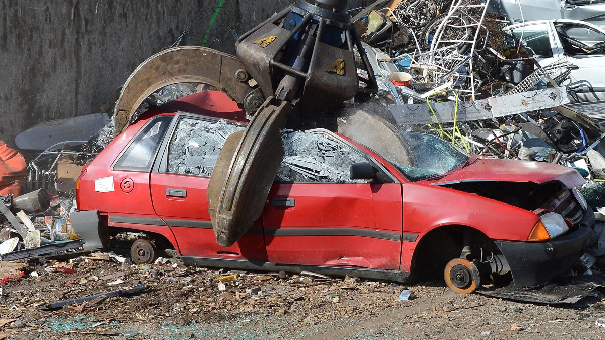 Leon zniknął z miejskiego osiedla. Zadbała o to straż miejska