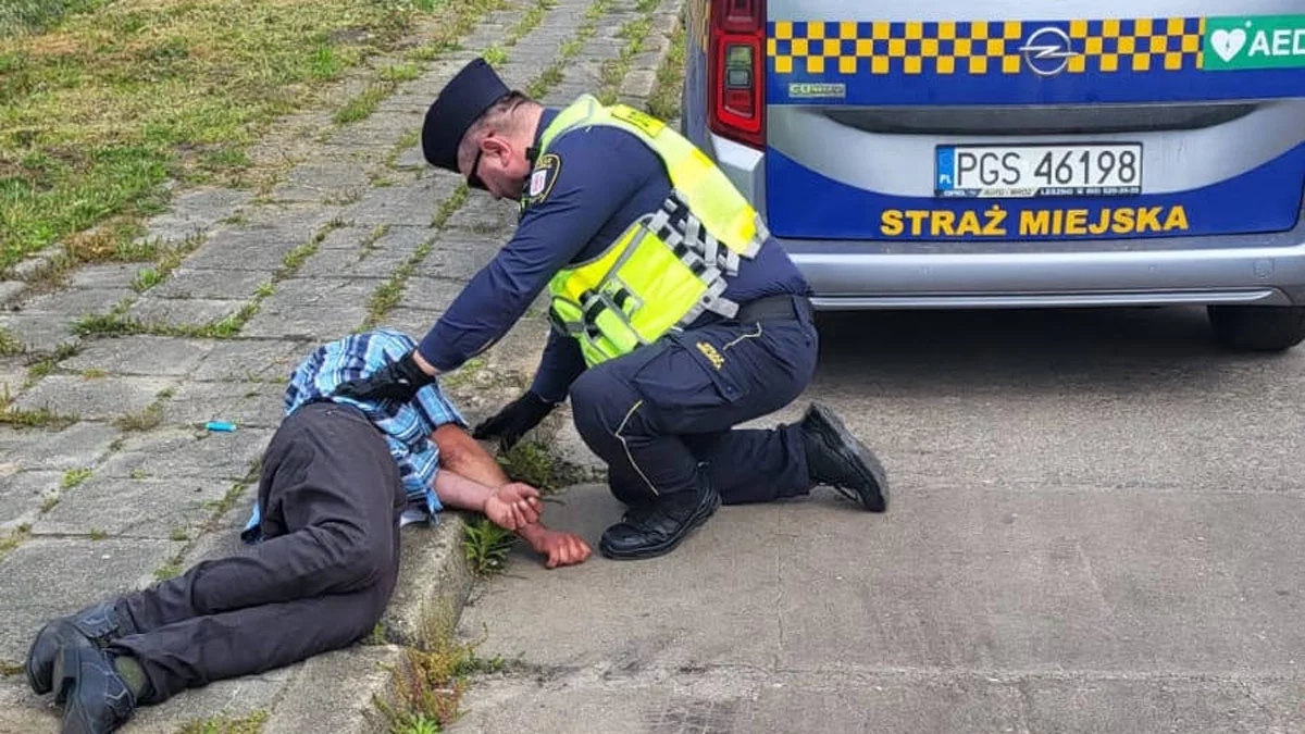 Martwy ptak, pijany mężczyzna - to wszystko na ulicach Gostynia. Działania podjęła Straż Miejska w Gostyniu