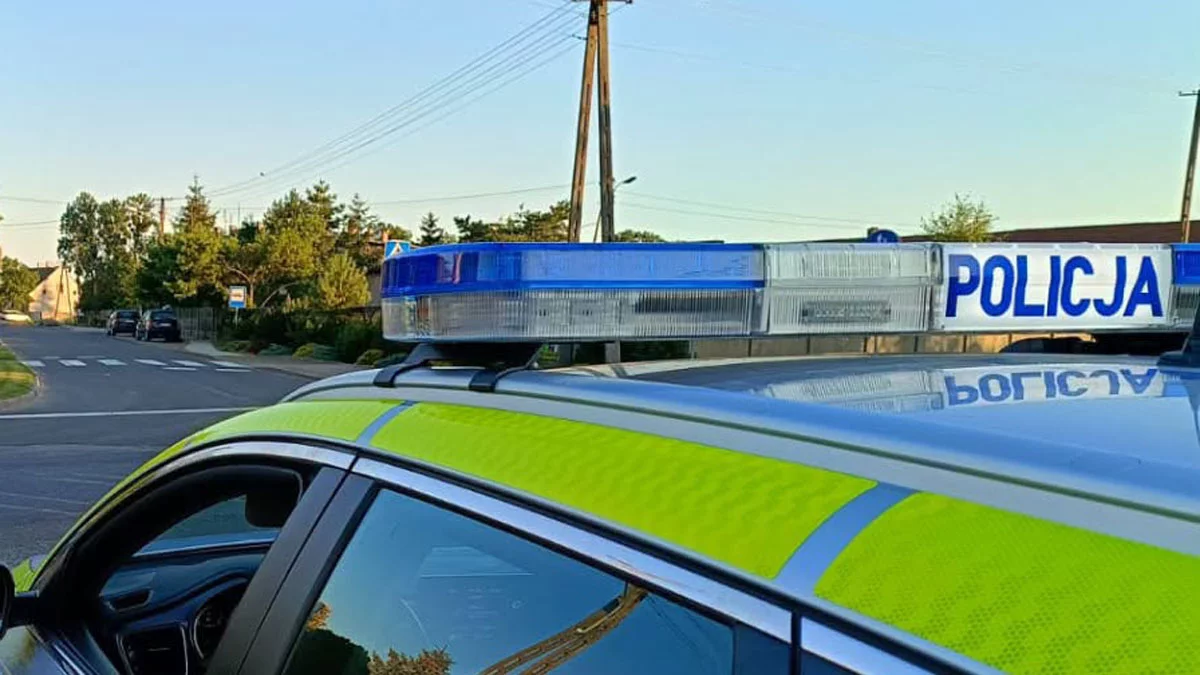 Pijani wtargnęli na posesję. Doszło do ataku i demolki ogrodzenia