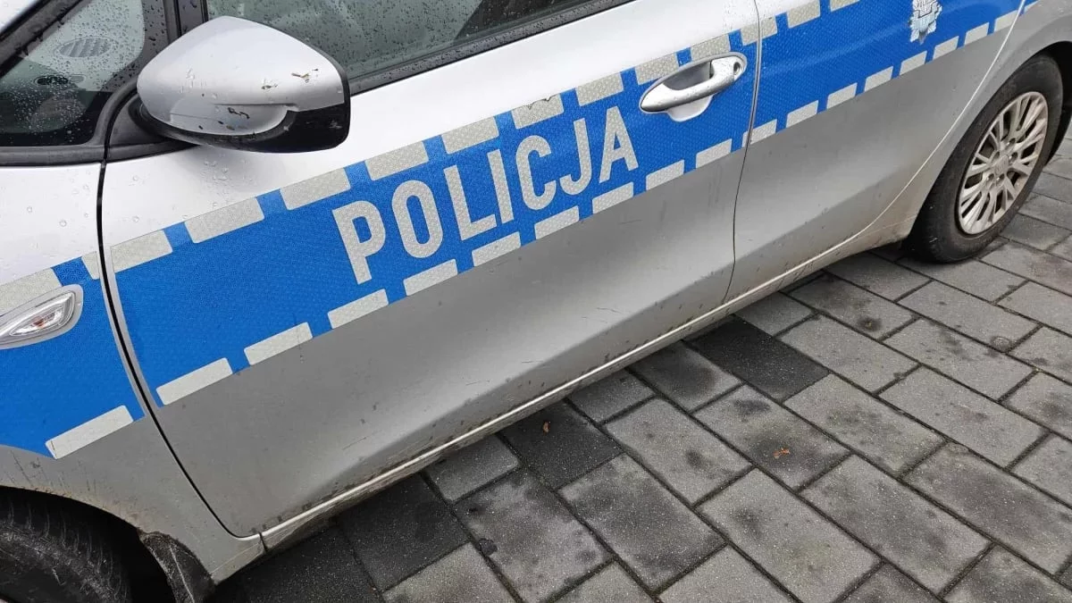 Dramat na drodze w sąsiednim powiecie. Samochód elektryczny stanął w płomieniach. Kierowca zginął na miejscu