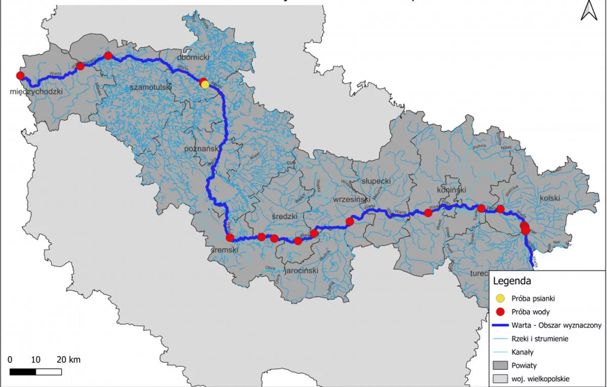 W Warcie wykryto bakterię, która stanowi zagrożenie dla upraw ziemniaków i pomidorów