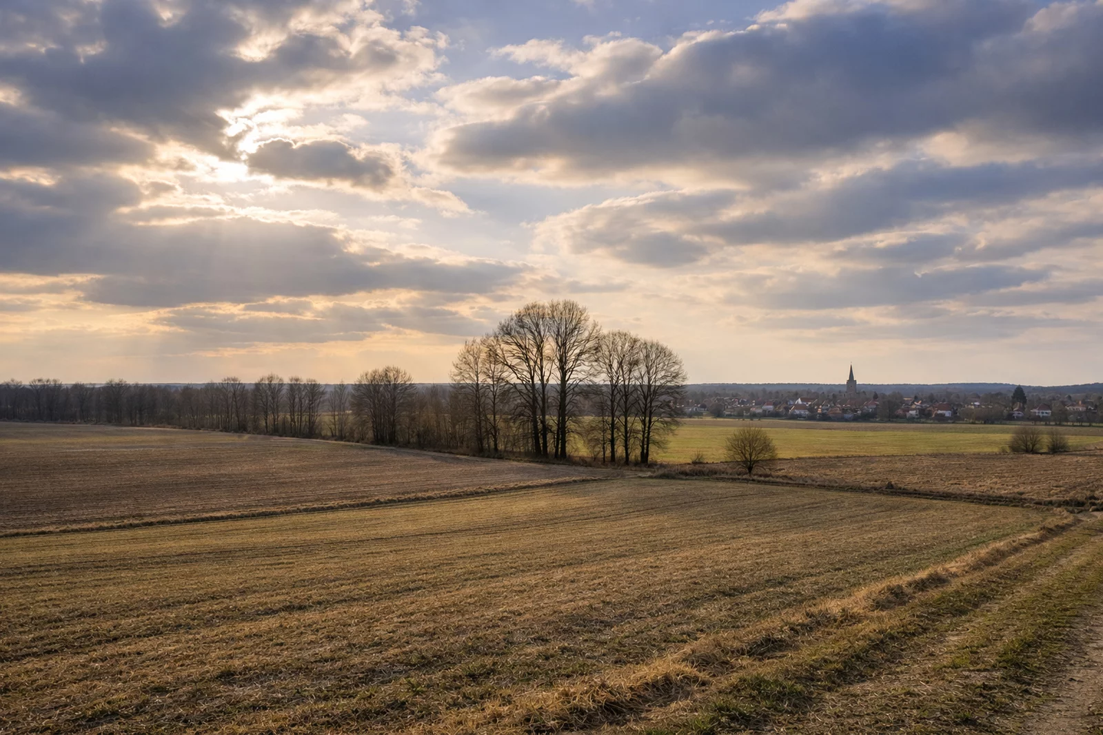 Pogoda dla powiatu krotoszyńskiego od 7 marca. Temperatura choćby do 16 stopni
