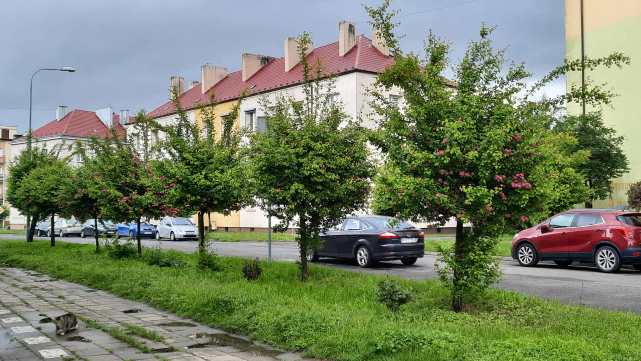 Krotoszyn: co przyniesie środa 16 lipca? Sprawdź pogodę, imieniny i horoskop