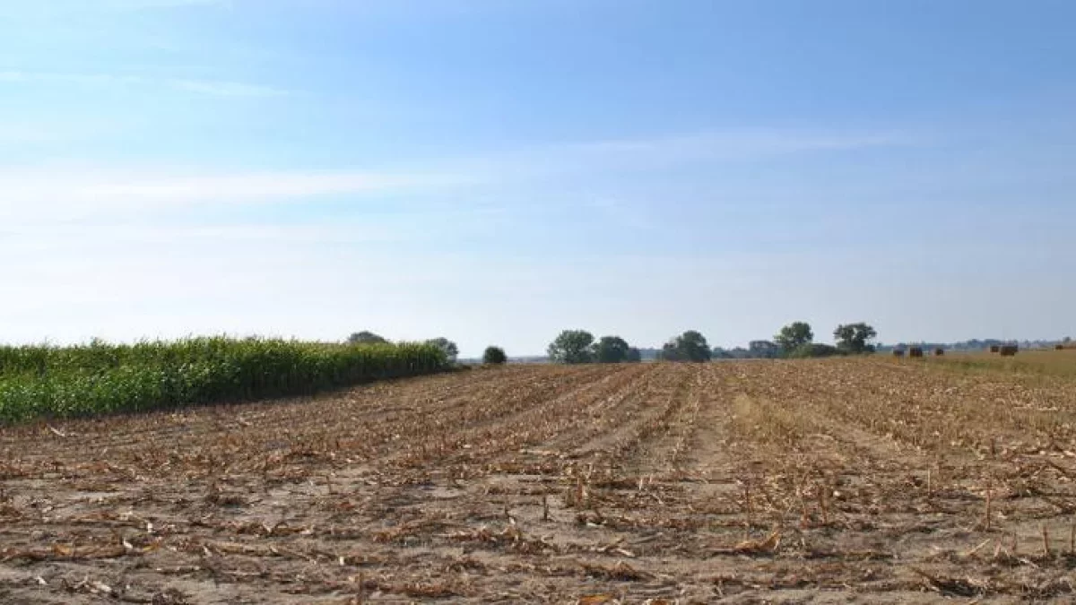 Gmina sprzedaje działkę na cele rolnicze