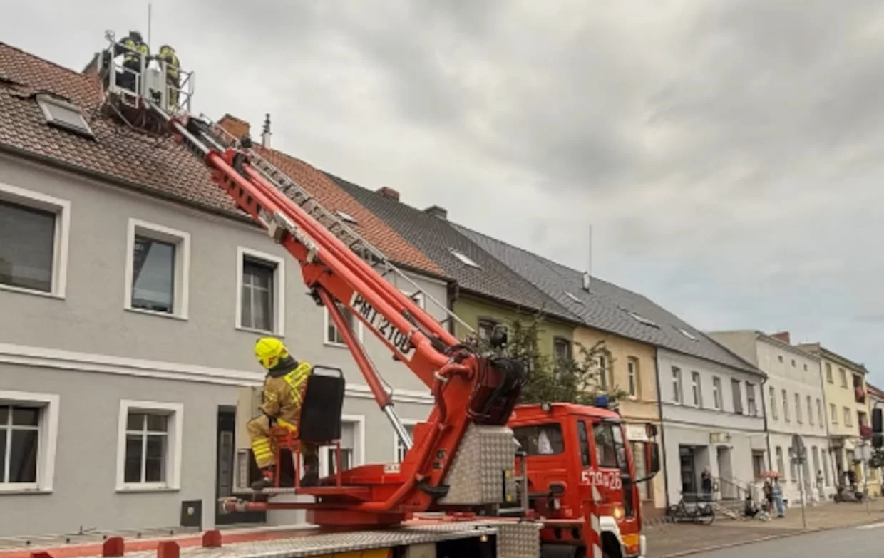 Powalone drzewa i uszkodzony dach - wietrzna pogoda dała się mieszkańcom we znaki