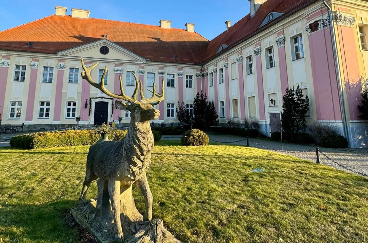 Wyjątkowy pałac, barokowa perełka Wielkopolski, otwiera swoje podwoje. Dodatkowe terminy na bezpłatne zwiedzanie