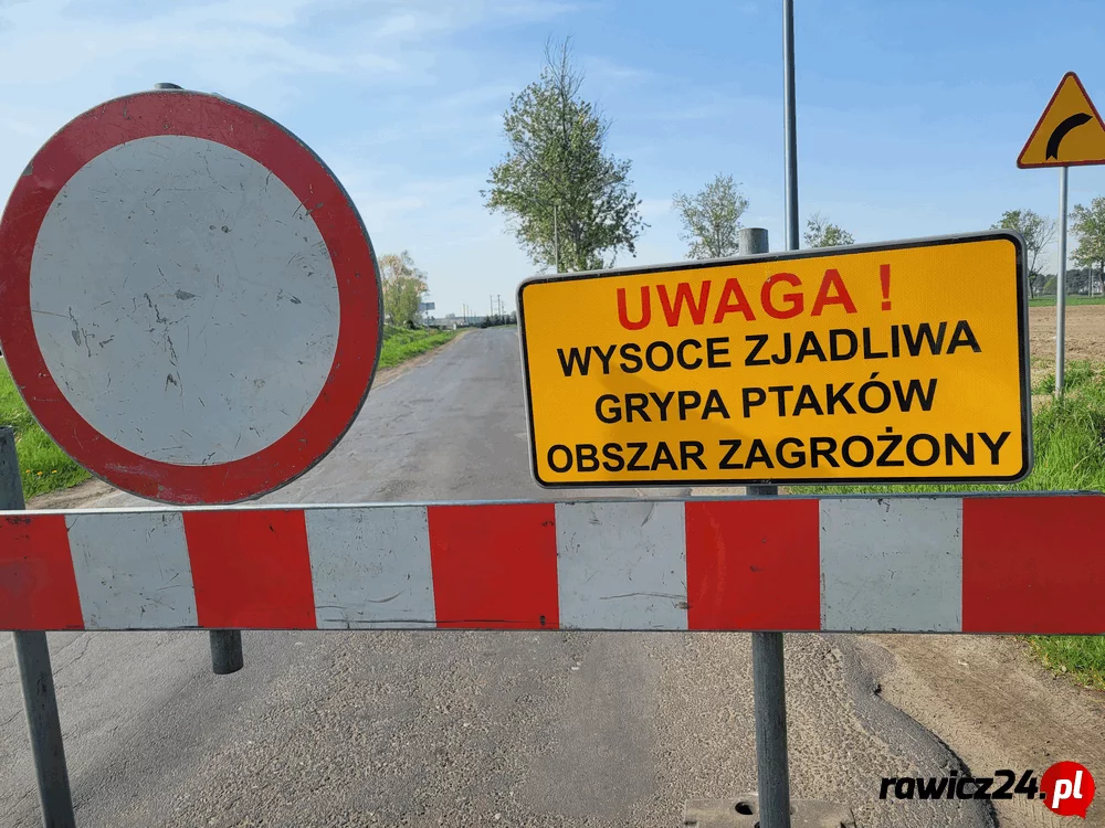 Ptasia grypa w gminie Rawicz. PIW: Ognisko zostało zamknięte