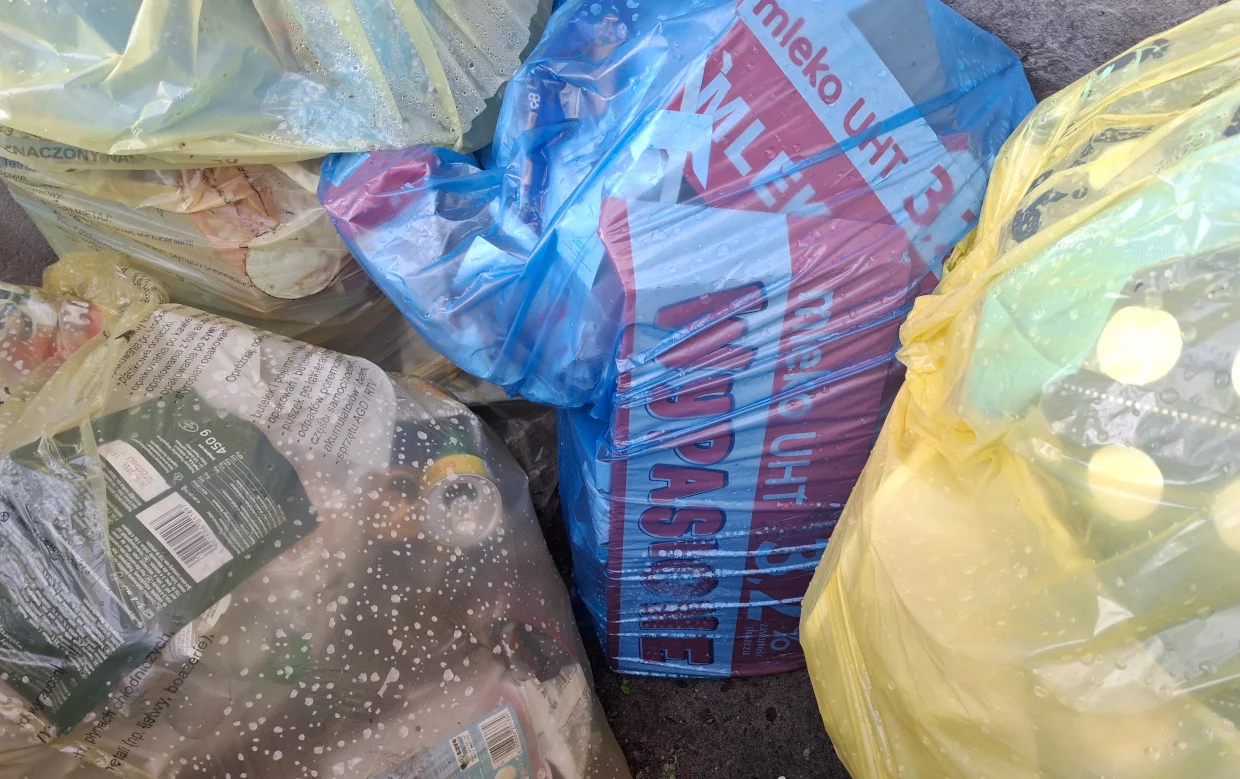 Harmonogramy odbioru opadów na drugie półrocze 2025 są gotowe. Sprawdź