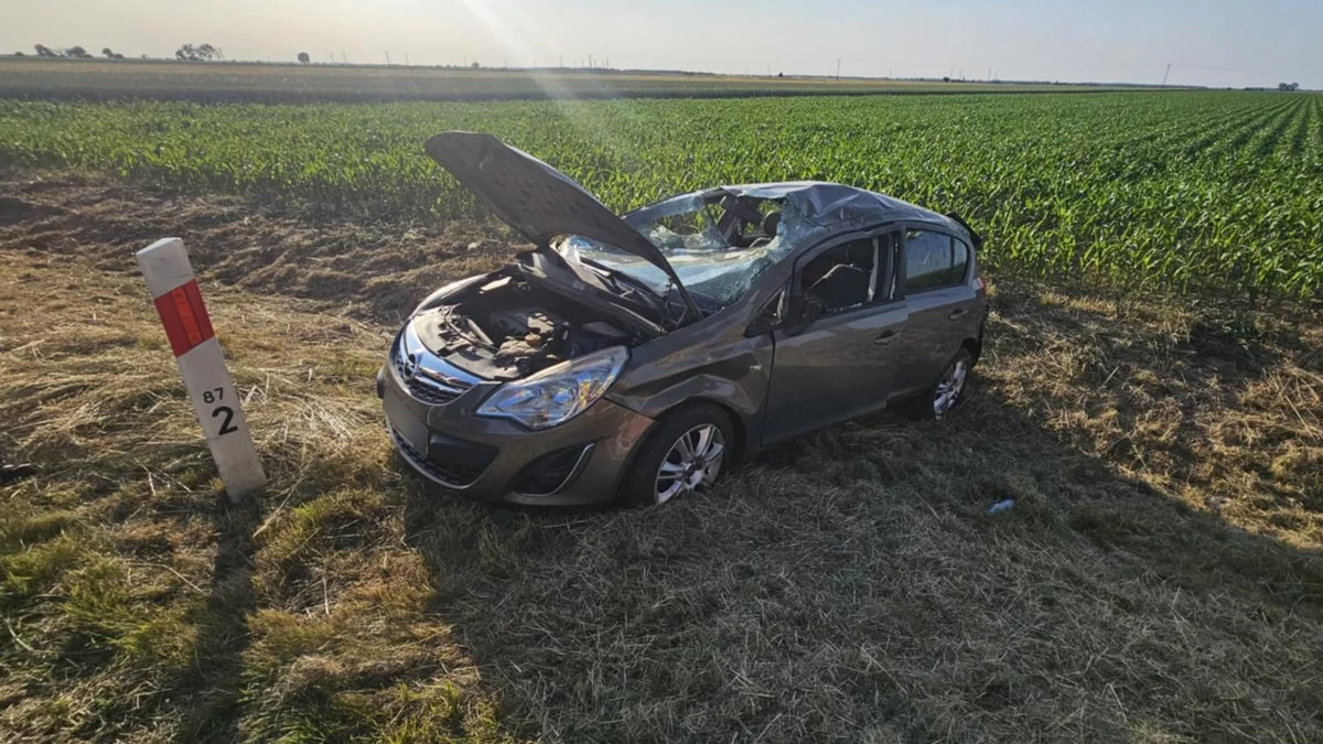 Dachowanie na DK36 pomiędzy Sobiałkowem a Topólką. Ranna trafiła do szpitala