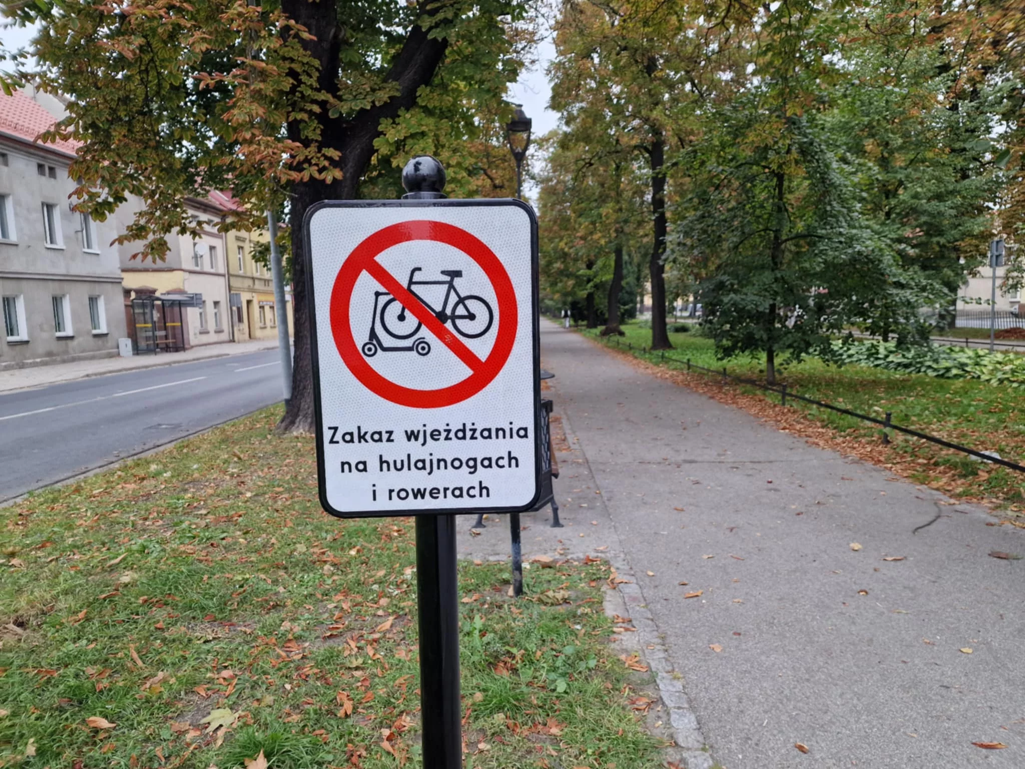 Nowe znaki na rawickich plantach. Co oznaczają?