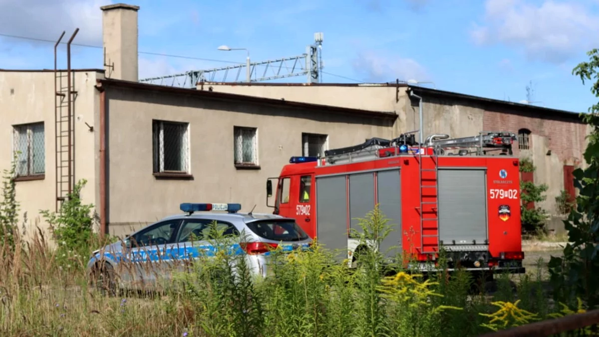 Zgłoszono pożar budynku w Bojanowie, okazało się, iż to nielegalne ognisko