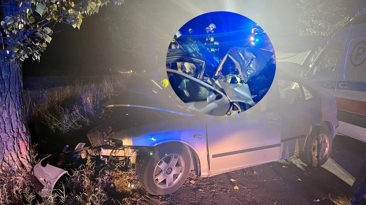 Auto rozbite na drzewie. Jedna osoba została poszkodowana