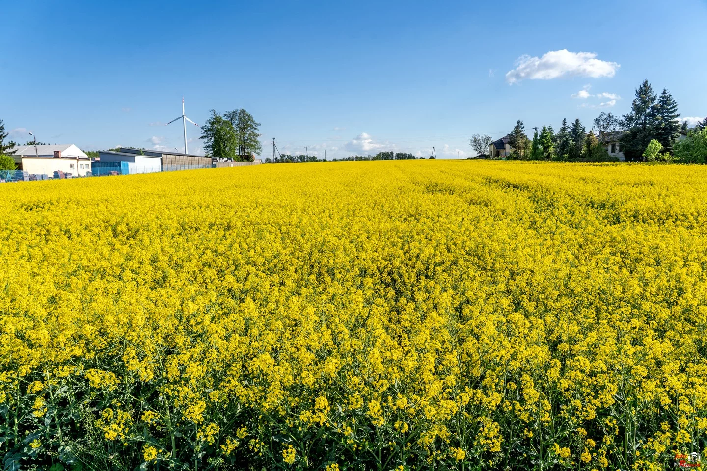 Gwałtowny skok temperatur w Wielkopolsce. Termometry pokażą choćby 30 °C