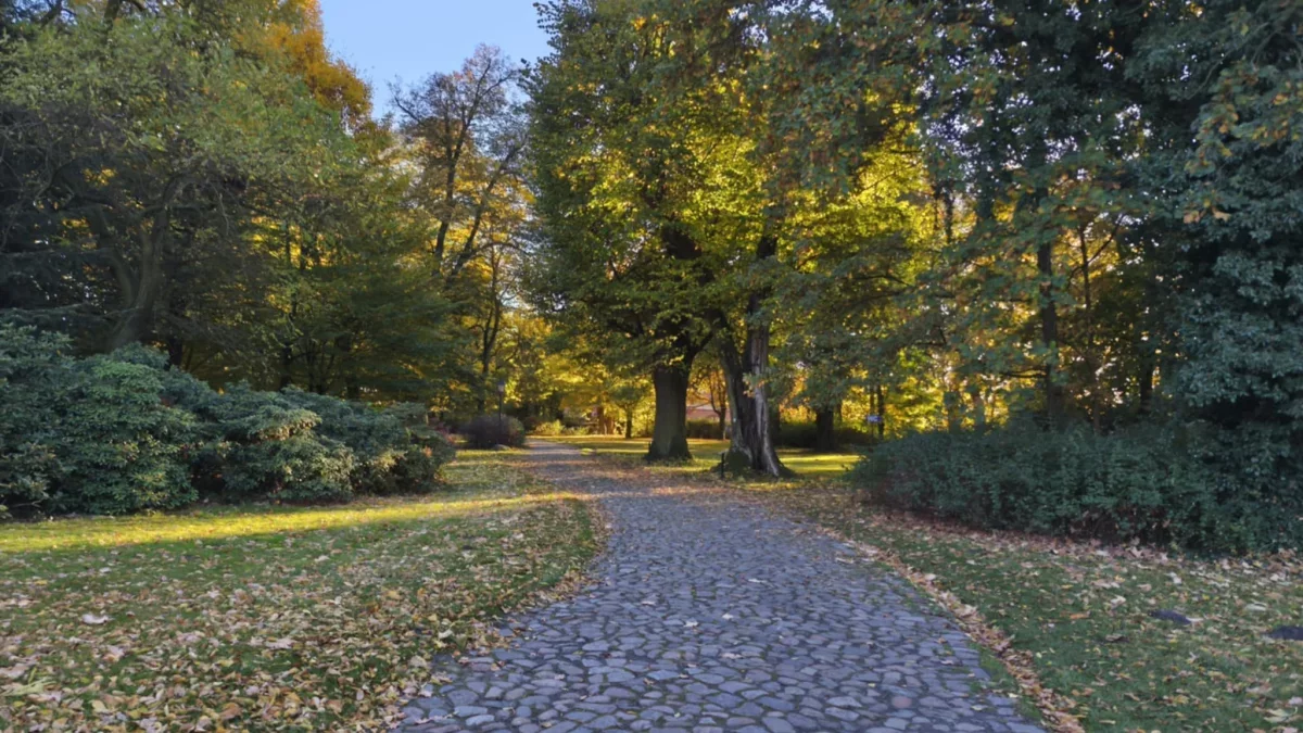 Dzień dobry Pleszew! Dziś poniedziałek, 27 października 2025 roku