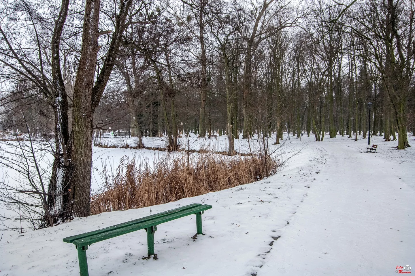 Dzień dobry Pleszew! Dziś piątek, 16 stycznia 2026 roku