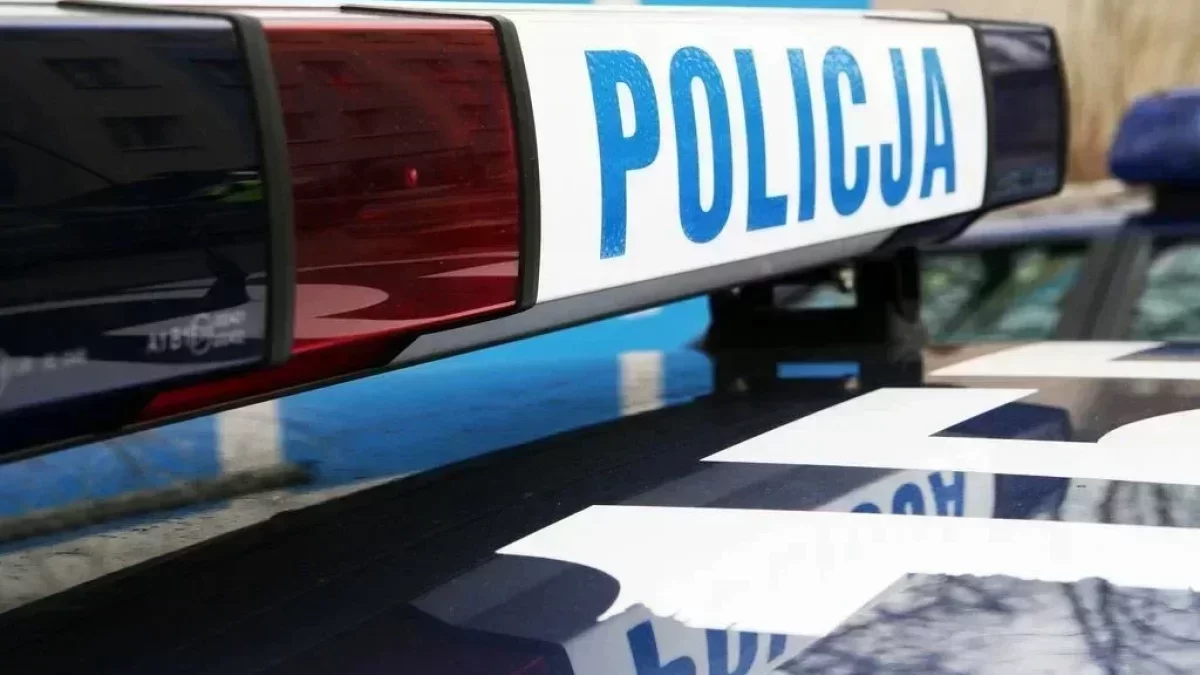 Mandat 1020 zł za nieprawidłową zmianę pasa na S11. Kolizja z ciężarówką kosztowała drogo