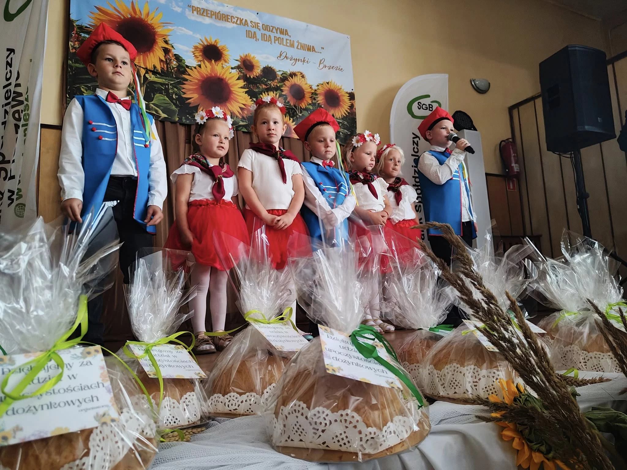 Święto plonów w Brzeziu. Dożynki z niespodzianką dla mieszkańców i gości [ZDJĘCIA]