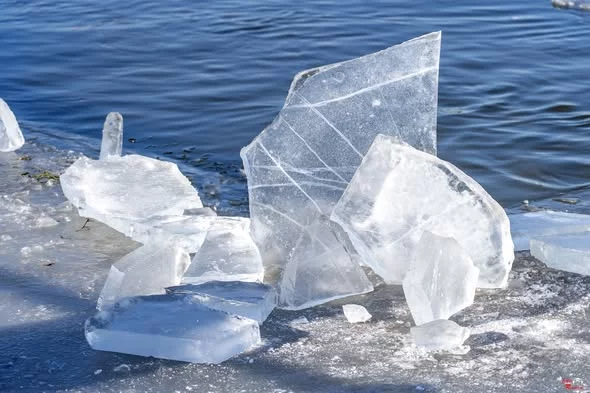 Dzień dobry Pleszew! Dziś niedziela, 8 lutego 2026 roku