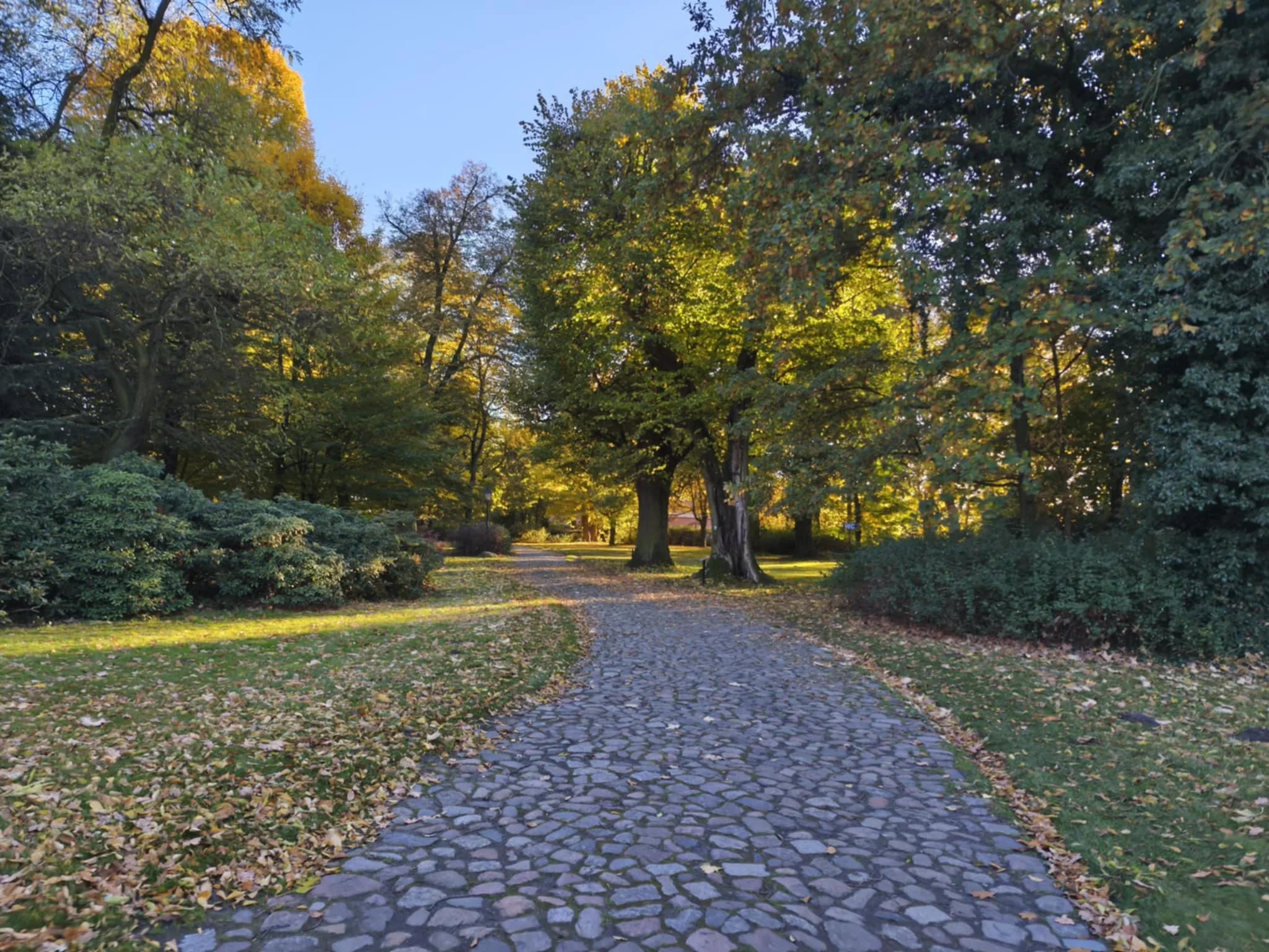 Dzień dobry Pleszew! Dziś piątek, 14 listopada 2025 roku